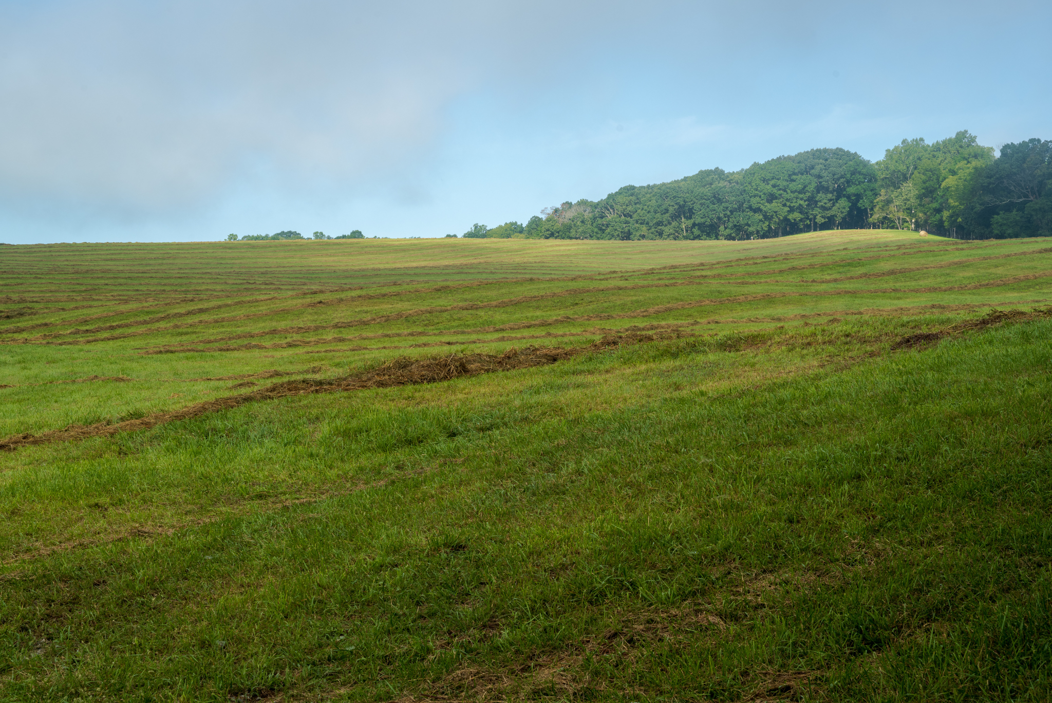 Rural Virginia land near Smith Mountain Lake